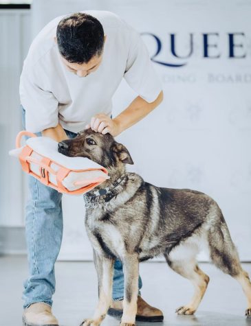 微信图片_20250605201932